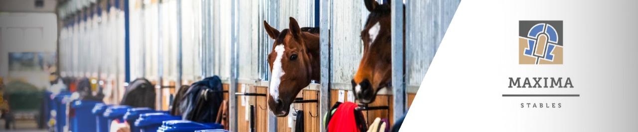 Maxima Stables